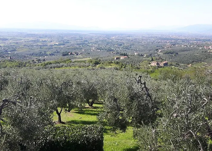 Il Palagio * فينشي