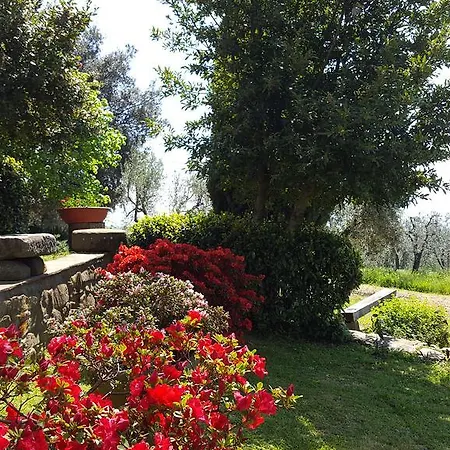 Casa de Férias Il Palagio Vinci