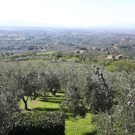 Il Palagio * Vinci